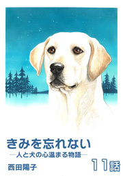 きみを忘れない  -人と犬の心温まる物語-　第11話【単話版】