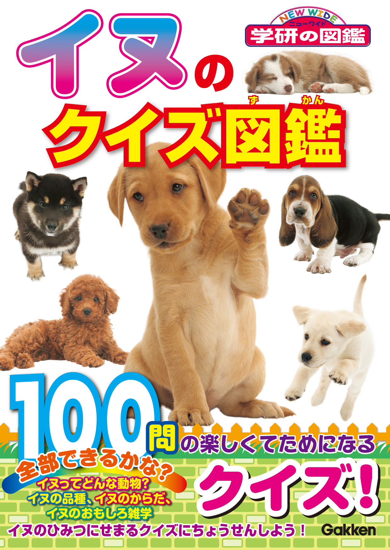 イヌのクイズ図鑑