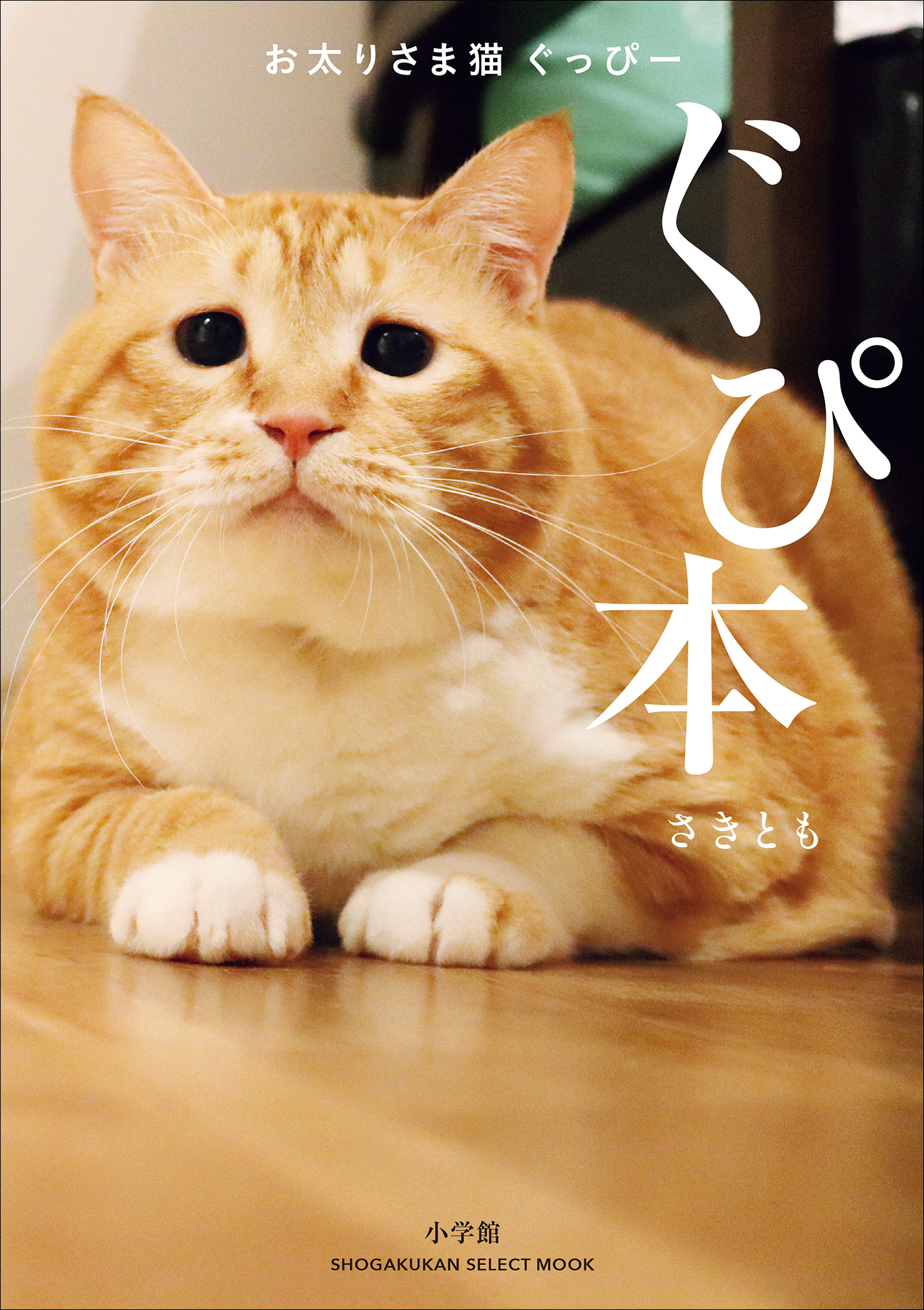 お太りさま猫　ぐっぴー　ぐぴ本