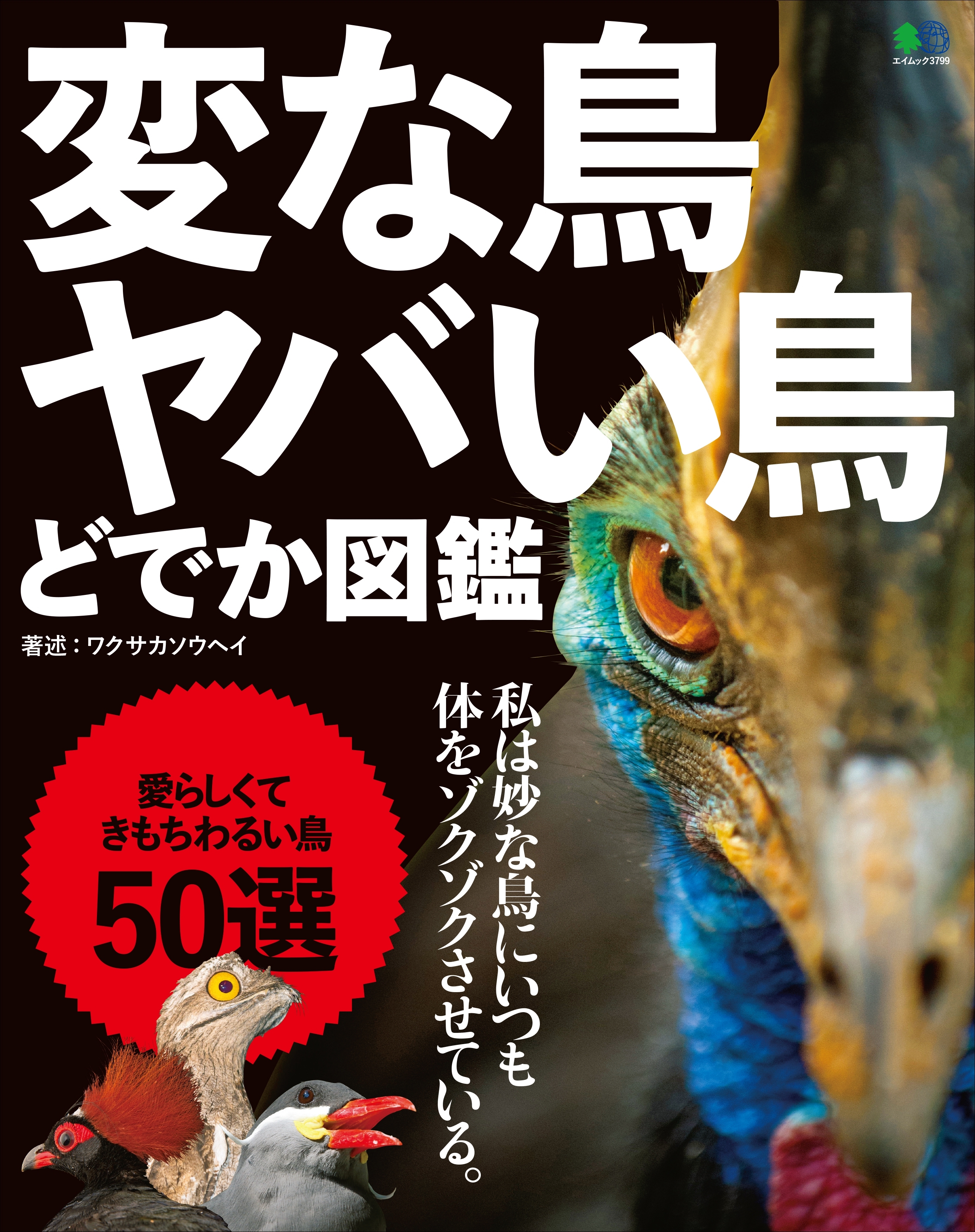 変な鳥 ヤバい鳥 どでか図鑑
