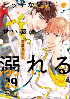 ビッチな猫は好奇心に勝てない(分冊版) 【第29話】