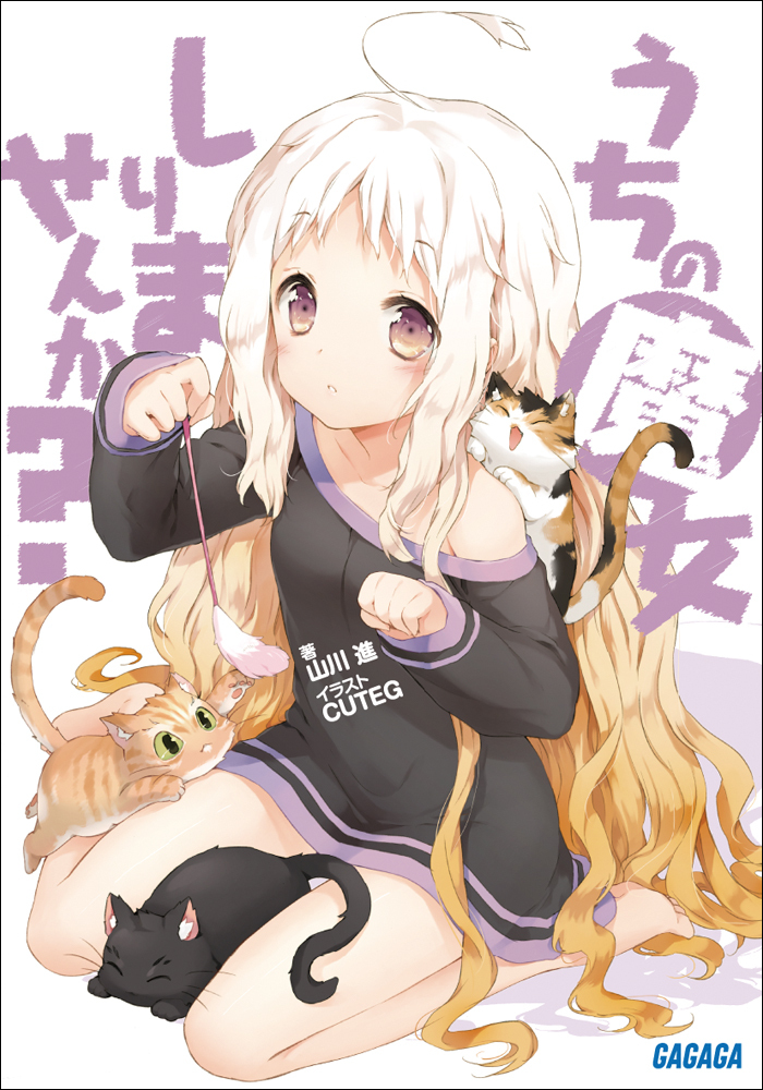 うちの魔女しりませんか？