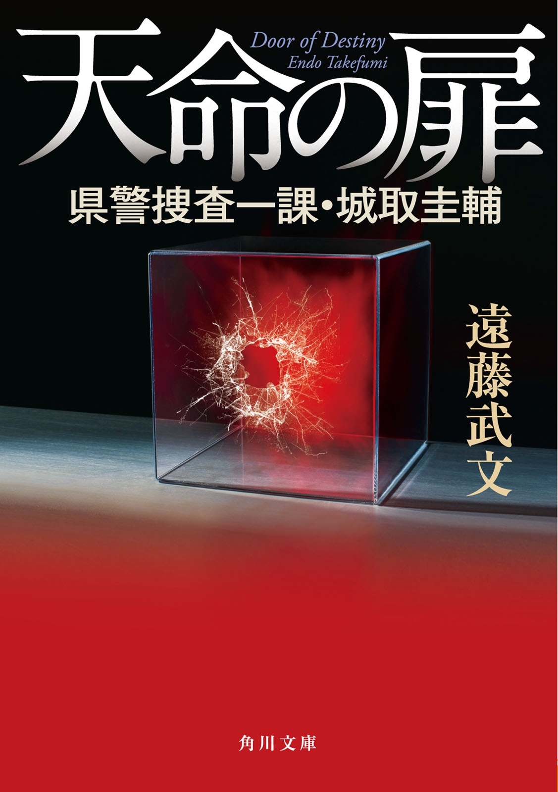 天命の扉　県警捜査一課・城取圭輔