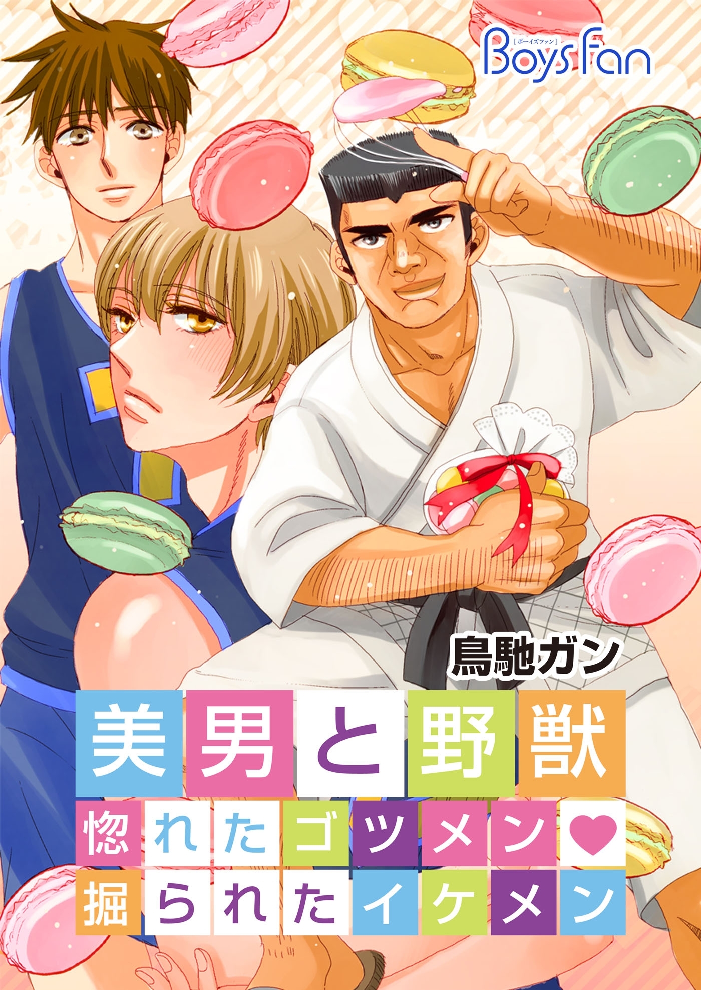 美男と野獣～惚れたゴツメン・掘られたイケメン～【特装版】