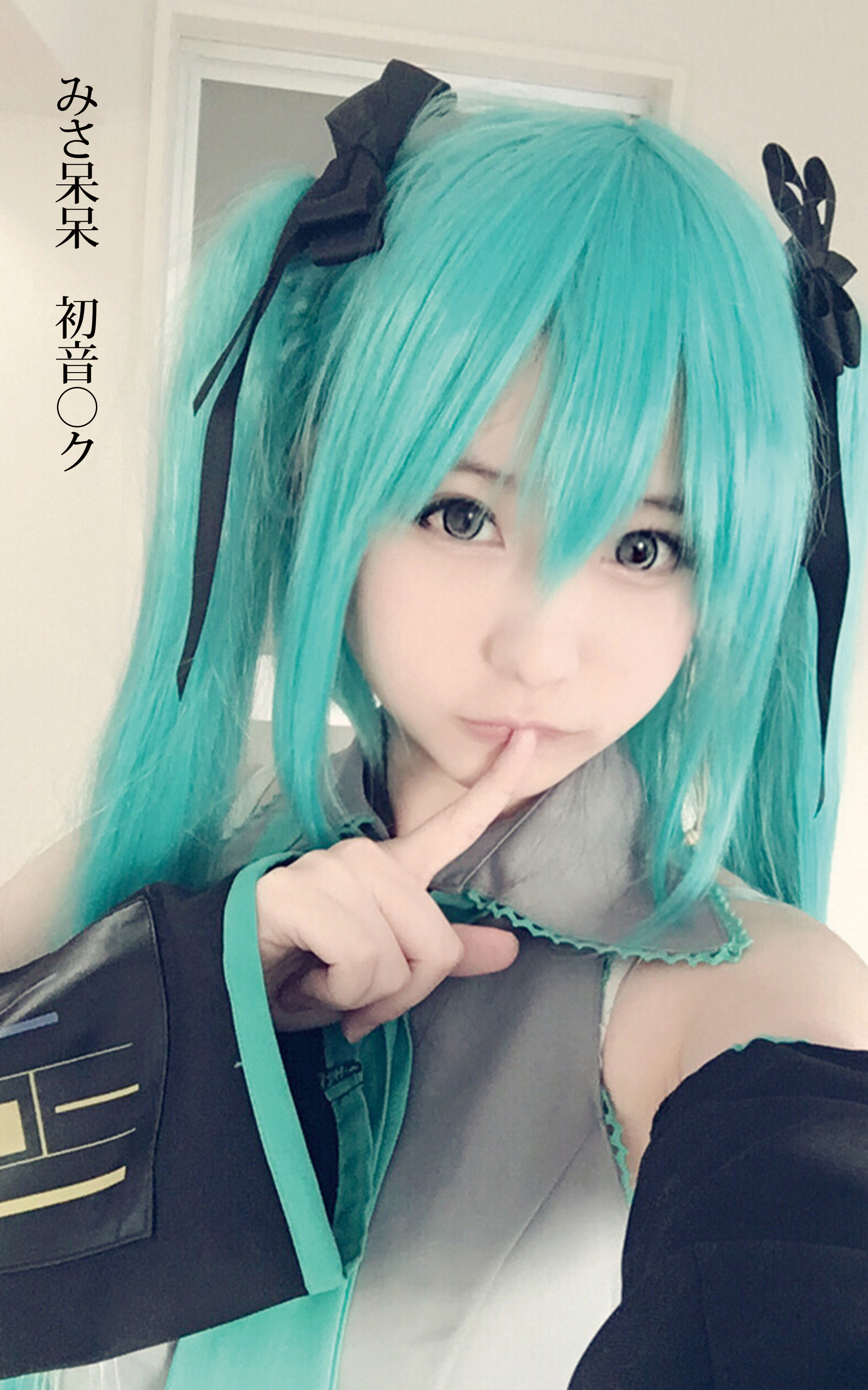 みさ呆呆　初音○ク