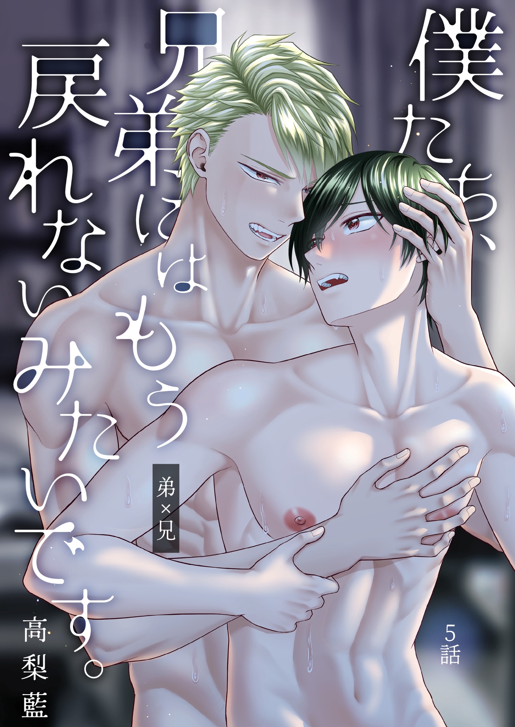 僕たち、兄弟にはもう戻れないみたいです。 5話