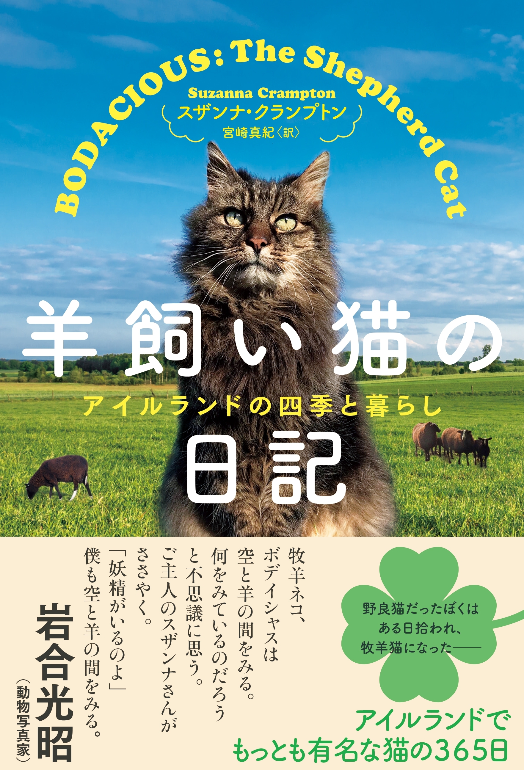 羊飼い猫の日記　アイルランドの四季と暮らし