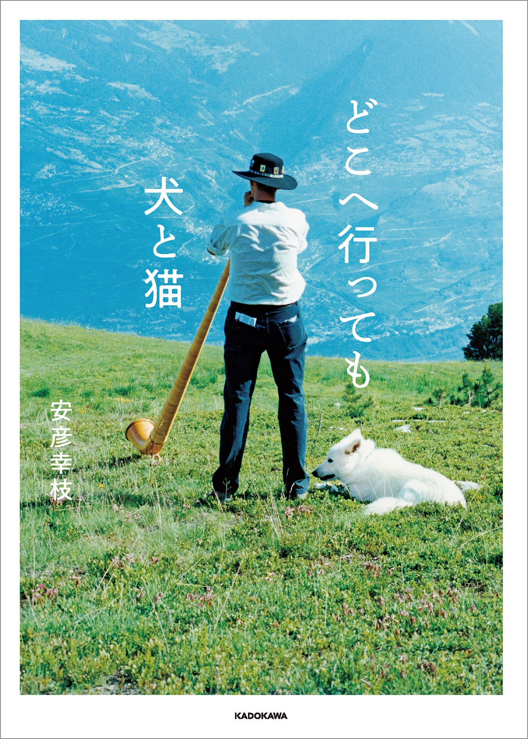 どこへ行っても犬と猫