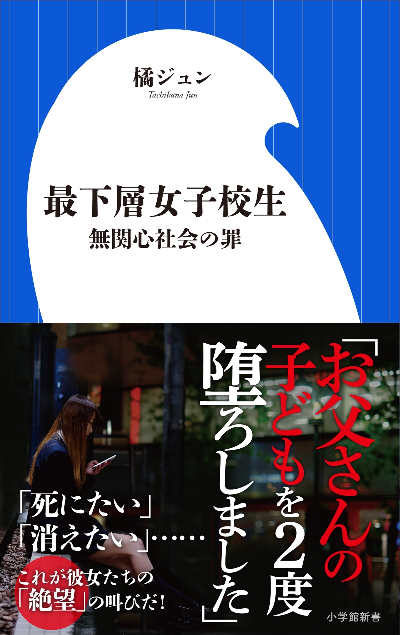 最下層女子校生～無関心社会の罪～（小学館新書）