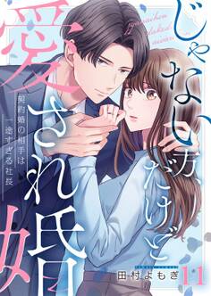 じゃない方、だけど愛され婚~契約婚の相手は一途すぎる社長(11)