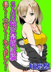 ＳＡＯ検定最終試験～長く！大きく！たくましく！～