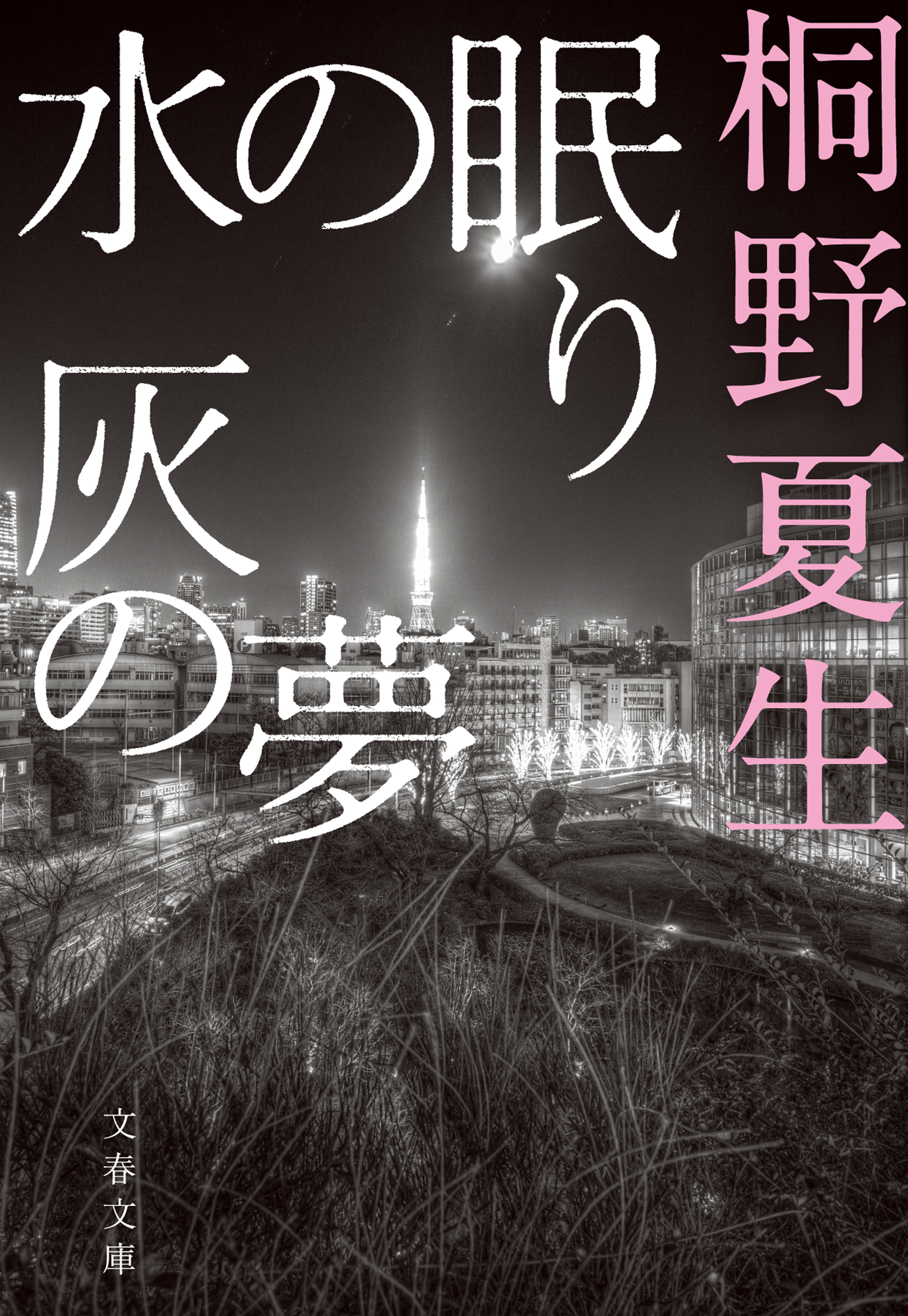 水の眠り 灰の夢