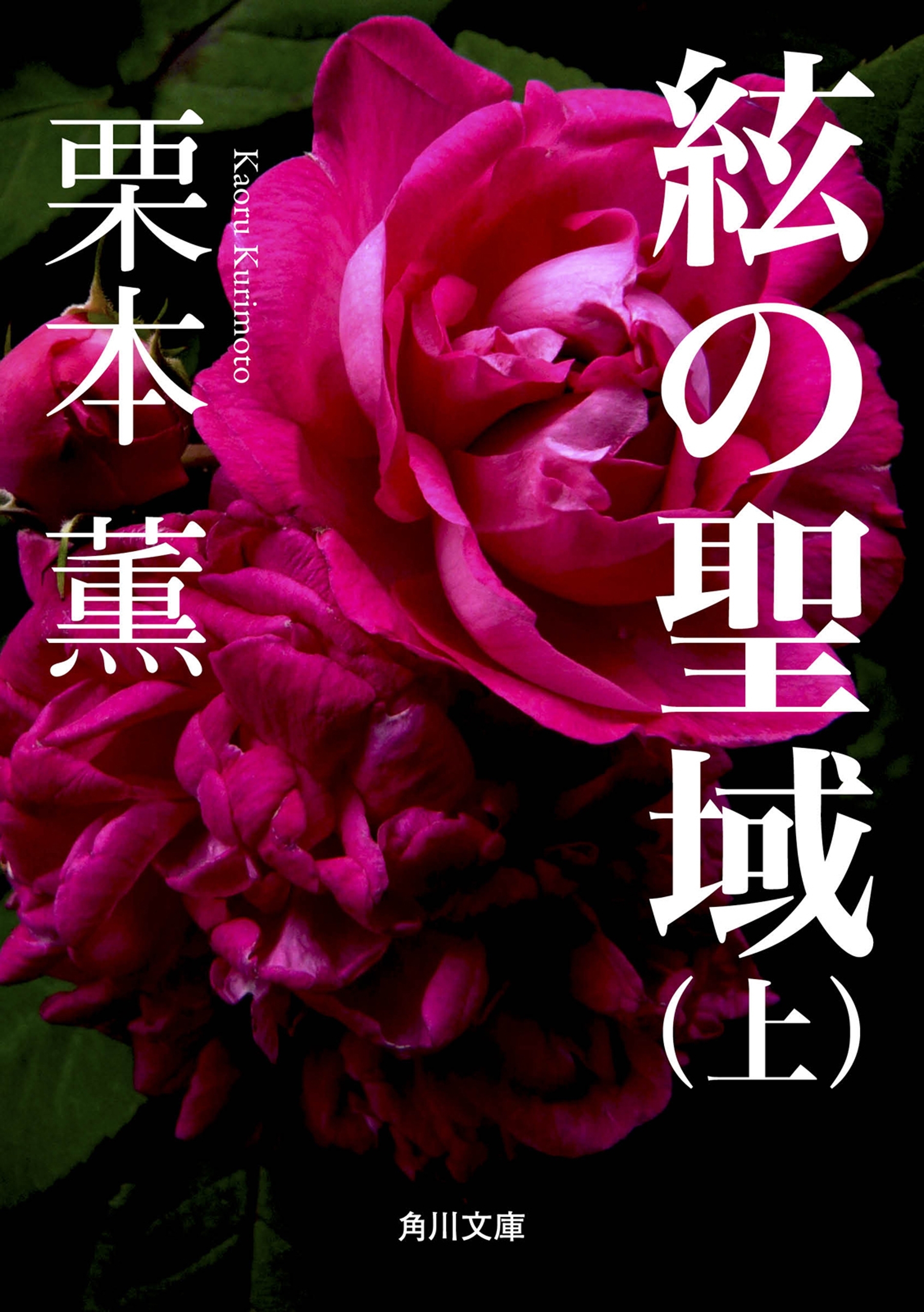 絃の聖域（上）