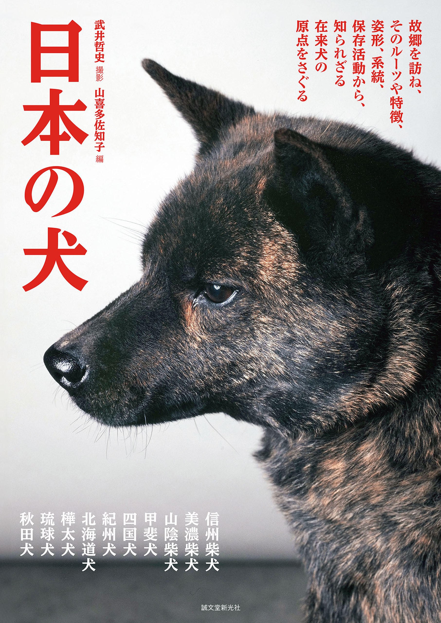 日本の犬