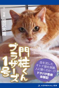 門柱くんブラザーズ1号