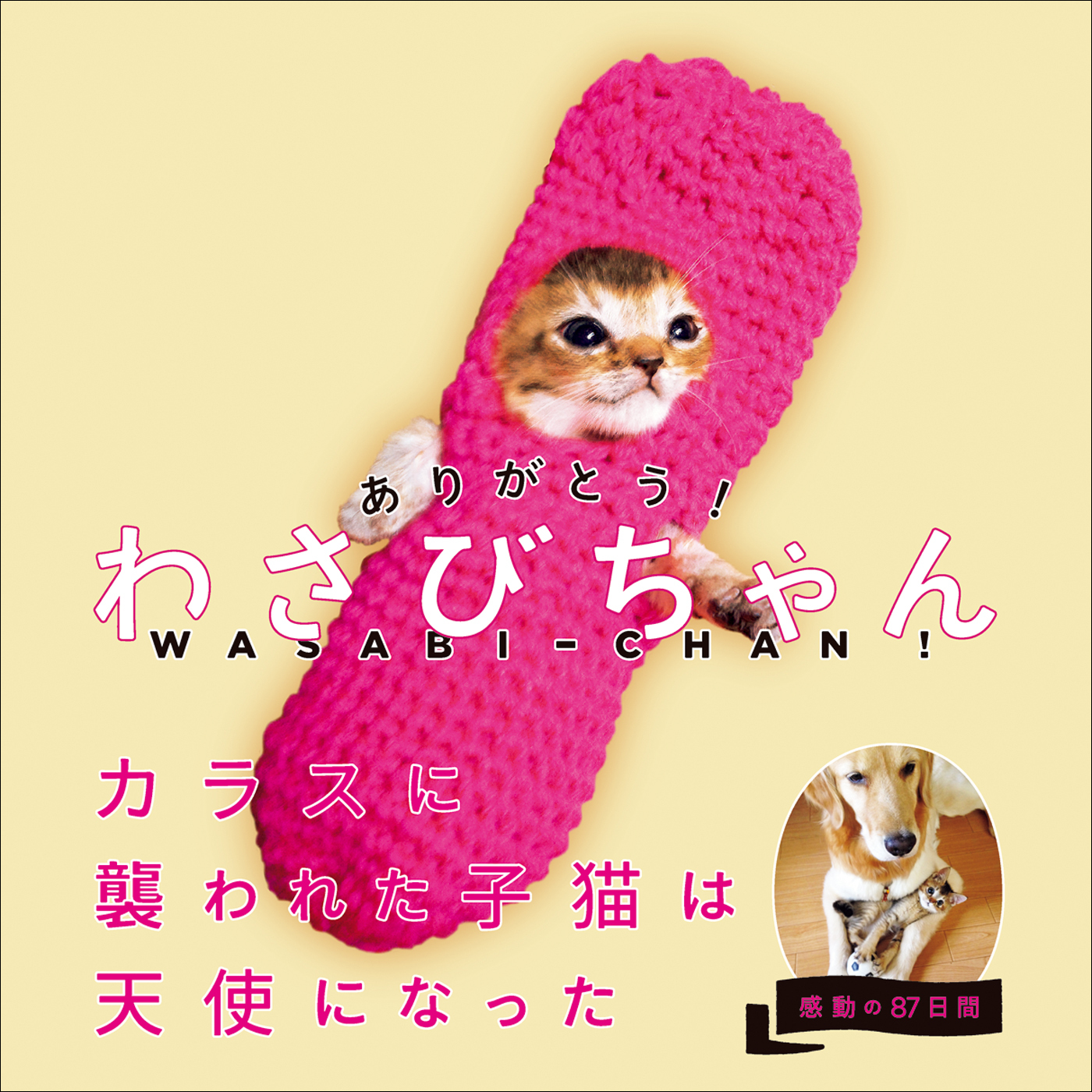 ありがとう！　わさびちゃん　カラスに襲われた子猫は天使になった