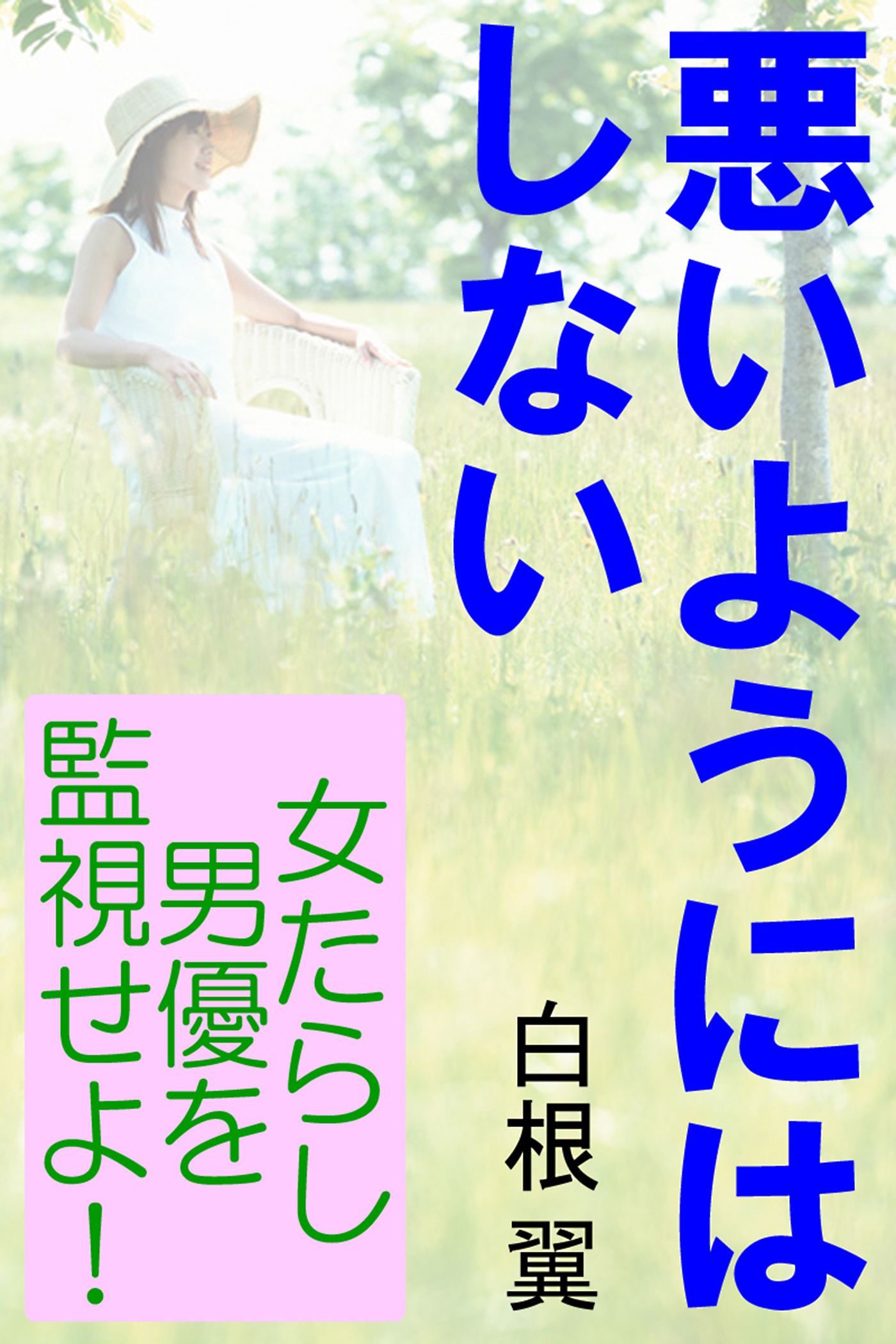 悪いようにはしない―女たらし男優を監視せよ！―