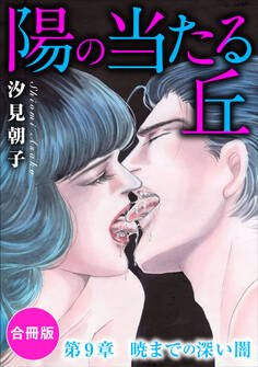 陽の当たる丘 第9章 暁までの深い闇 合冊版