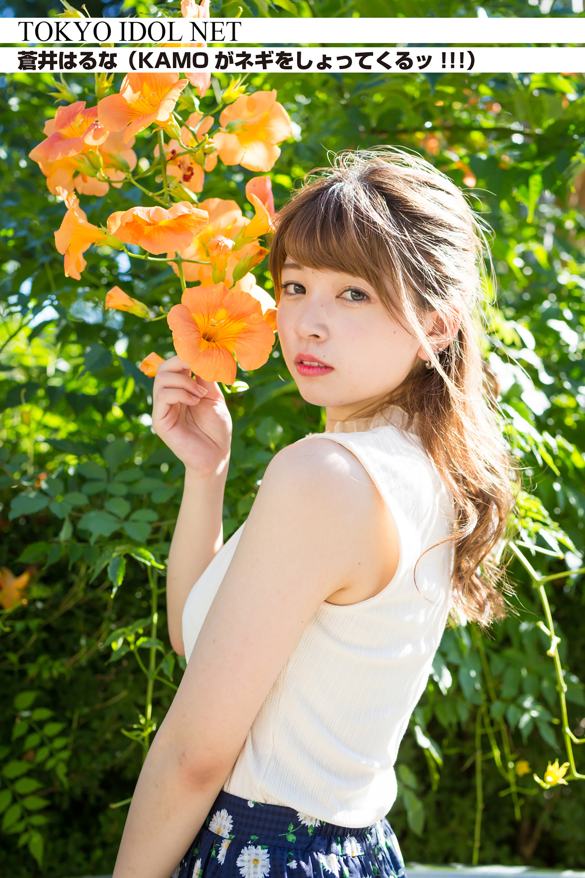 [TOKYO IDOL NET] 蒼井はるな (KAMOがネギをしょってくるッ！！！)