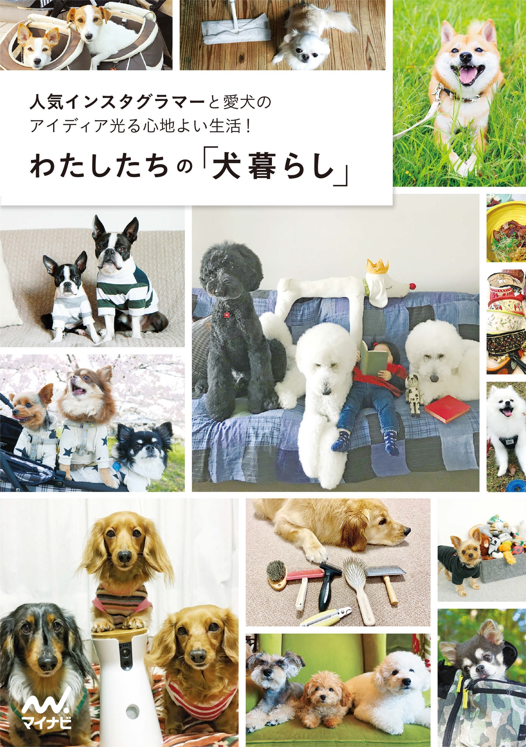 わたしたちの「犬暮らし」