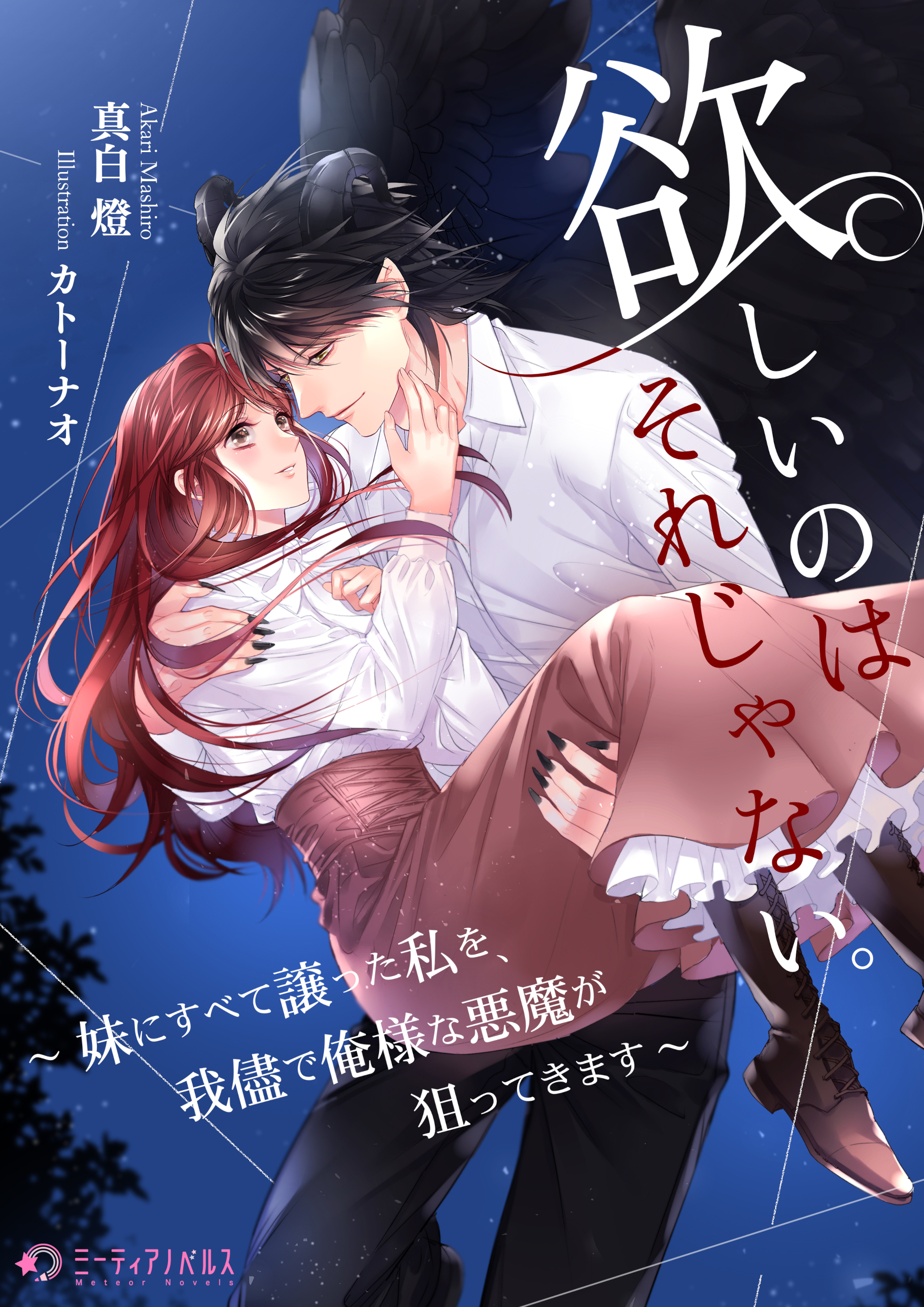 欲しいのはそれじゃない。～妹にすべて譲った私を、我儘で俺様な悪魔が狙ってきます～