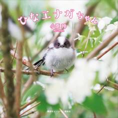 電子版特典付き ひなエナガちゃん