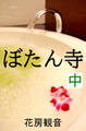 ぼたん寺 中