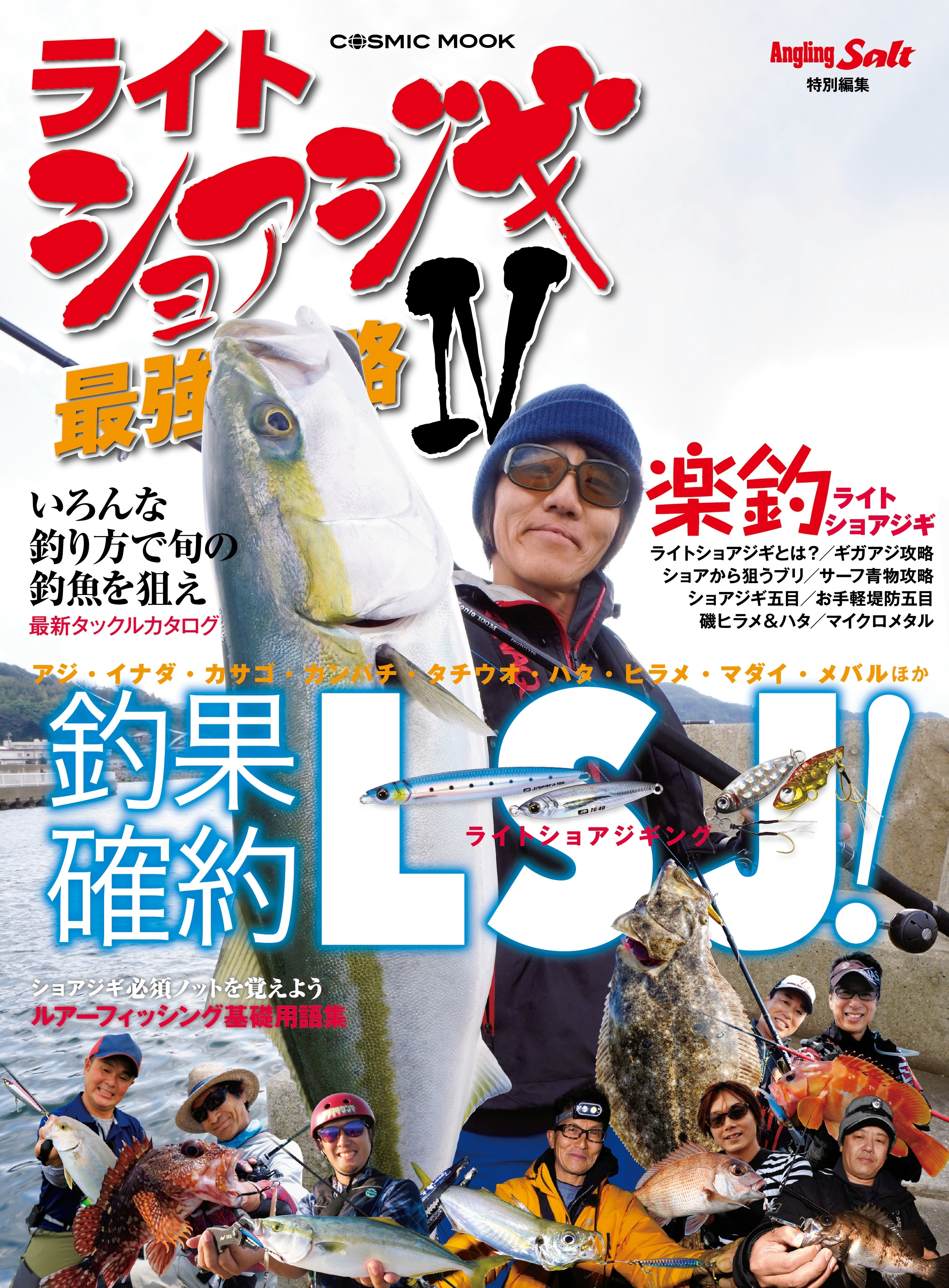 ライトショアジギ最強攻略IV