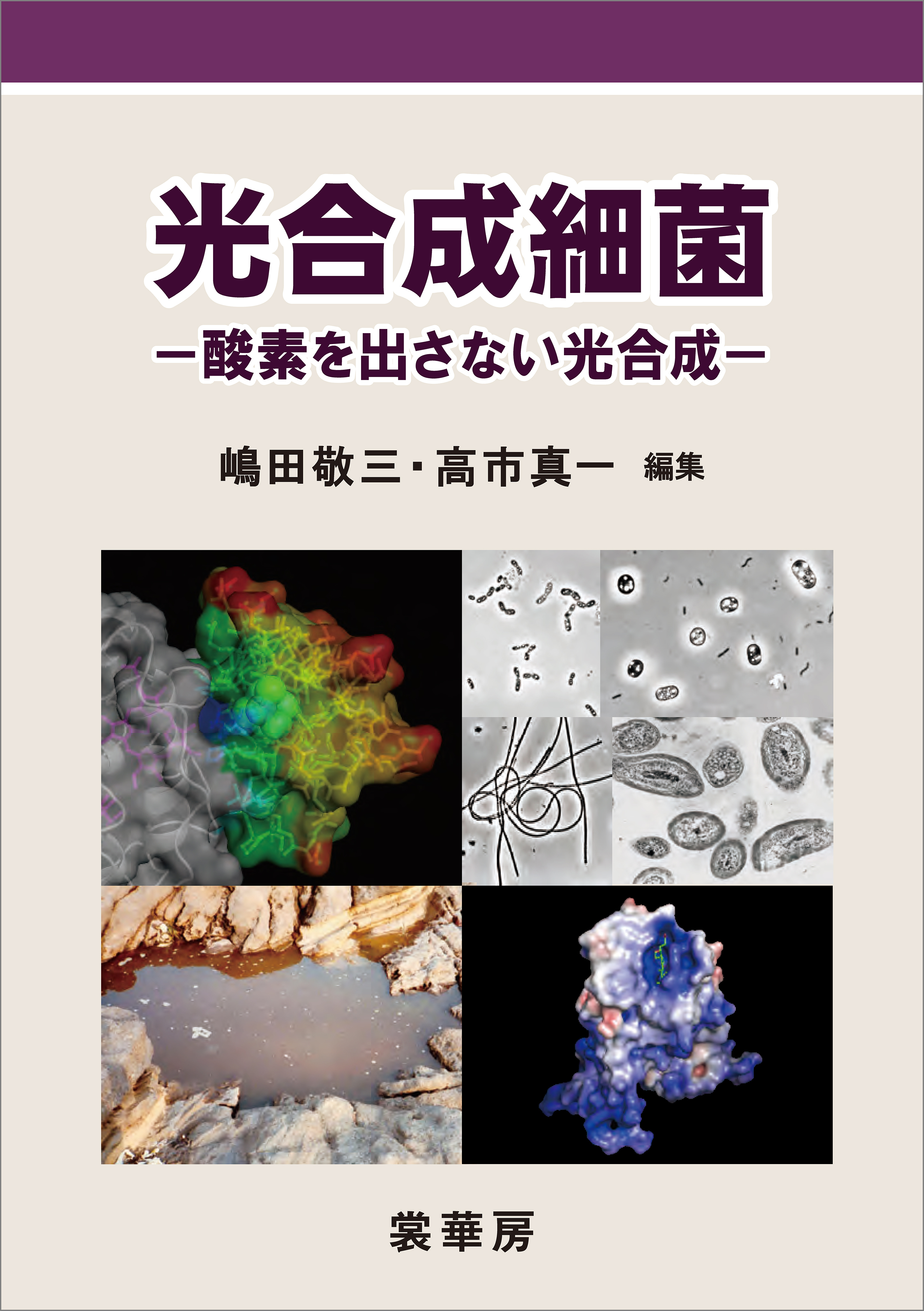 光合成細菌