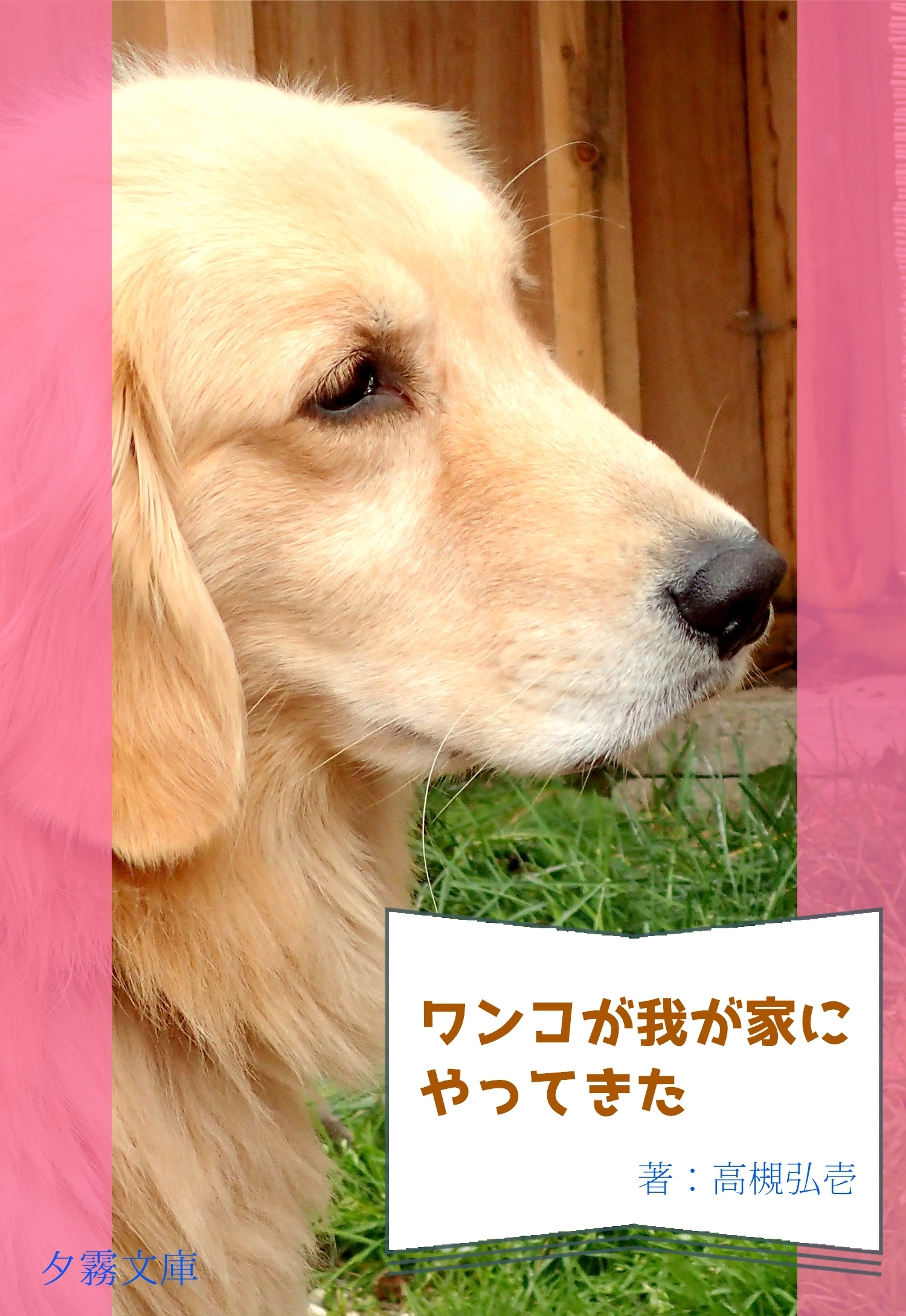 ワンコが我が家にやって来た