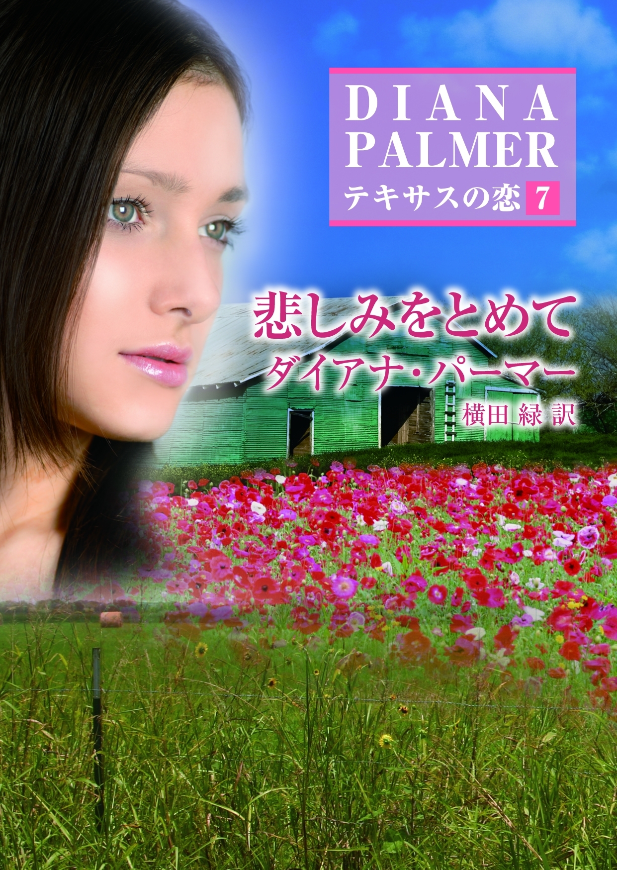 悲しみをとめて