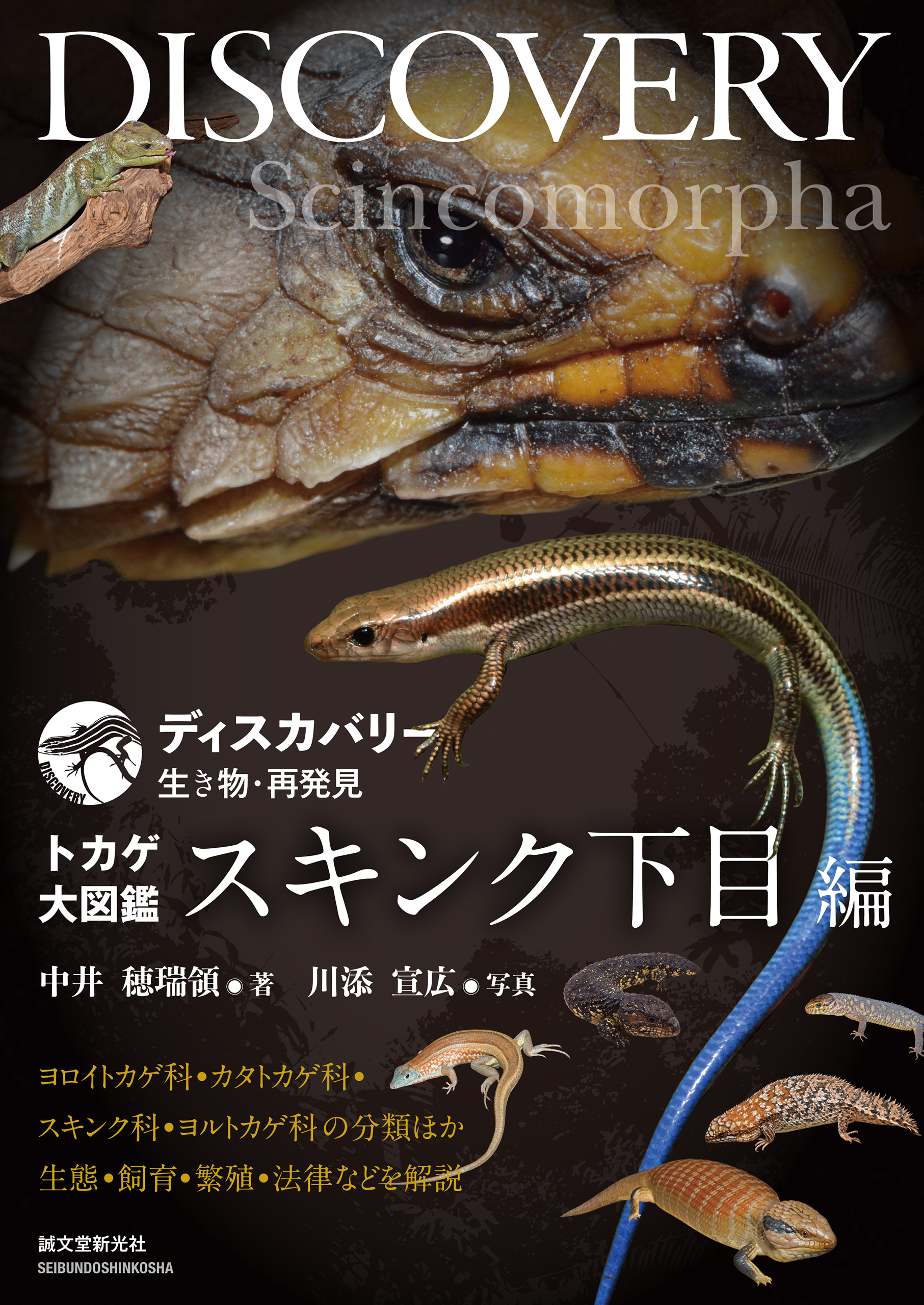トカゲ大図鑑 スキンク下目編