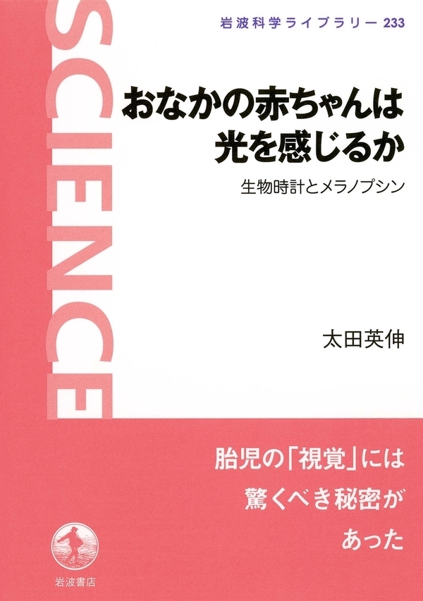 おなかの赤ちゃんは光を感じるか－生物時計とメラノプシン