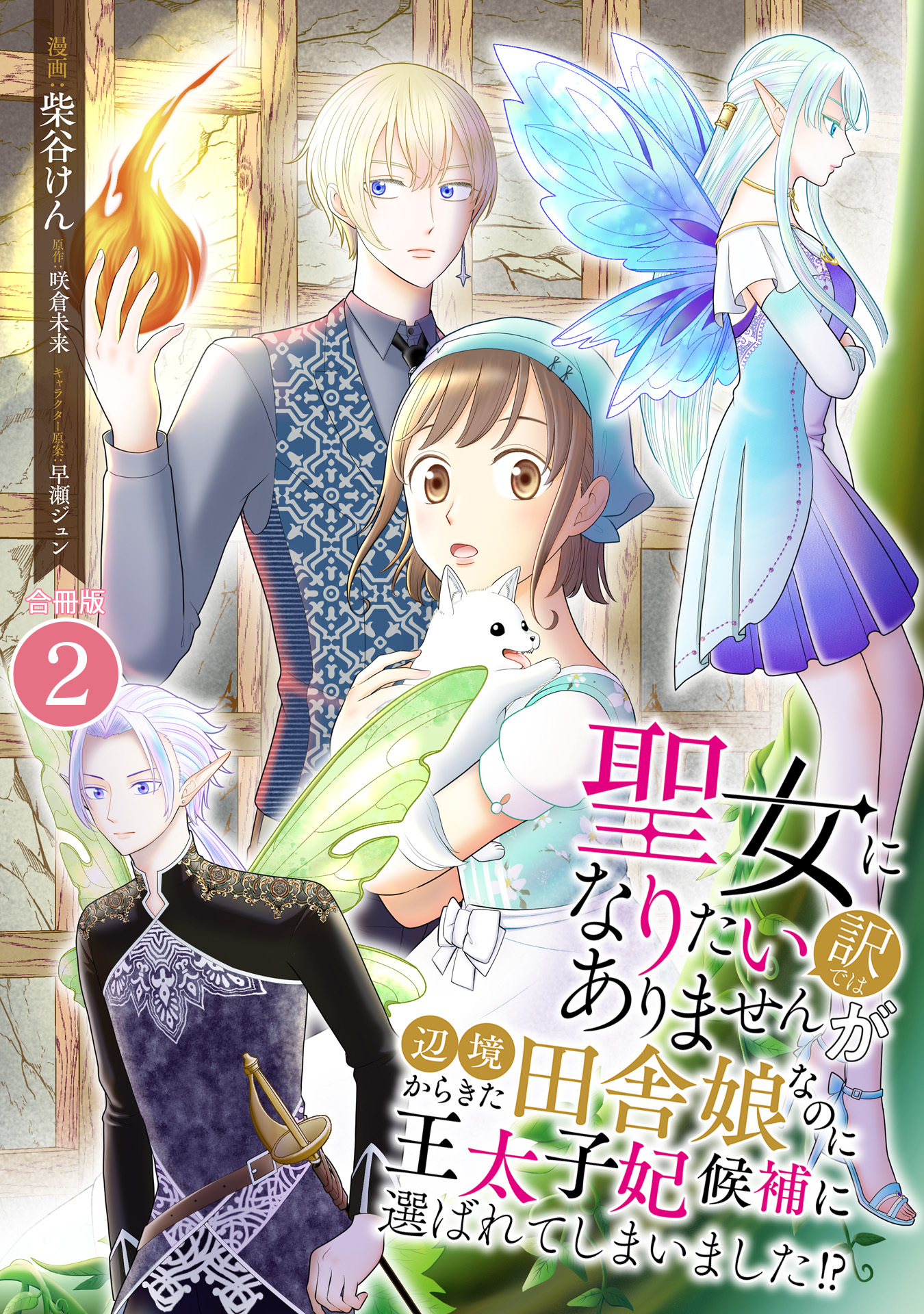 聖女になりたい訳ではありませんが　辺境からきた田舎娘なのに王太子妃候補に選ばれてしまいました!?【合冊版】 / 2