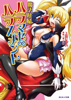 魔法妊婦ハラマセ∞ハラスメント