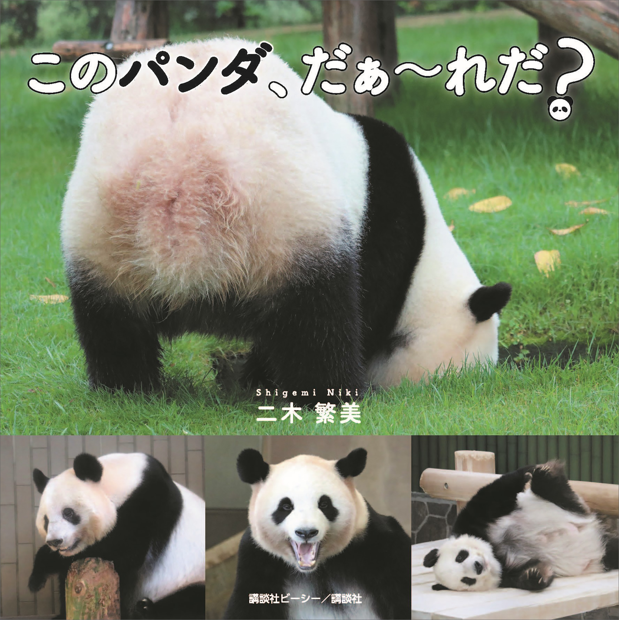 このパンダ、だぁ～れだ？