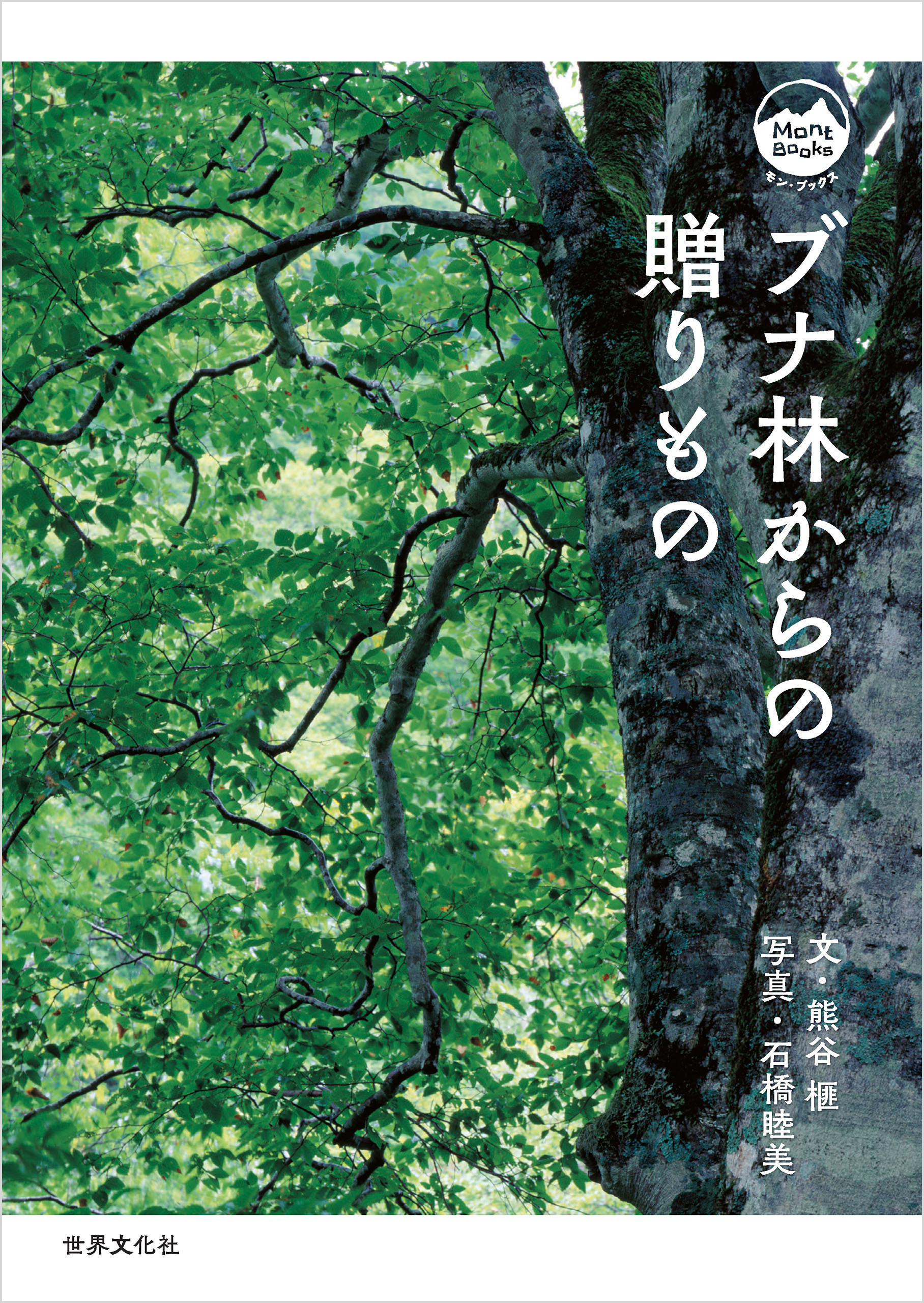 ブナ林からの贈りもの