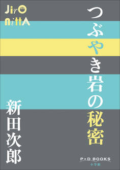 P+D BOOKS つぶやき岩の秘密