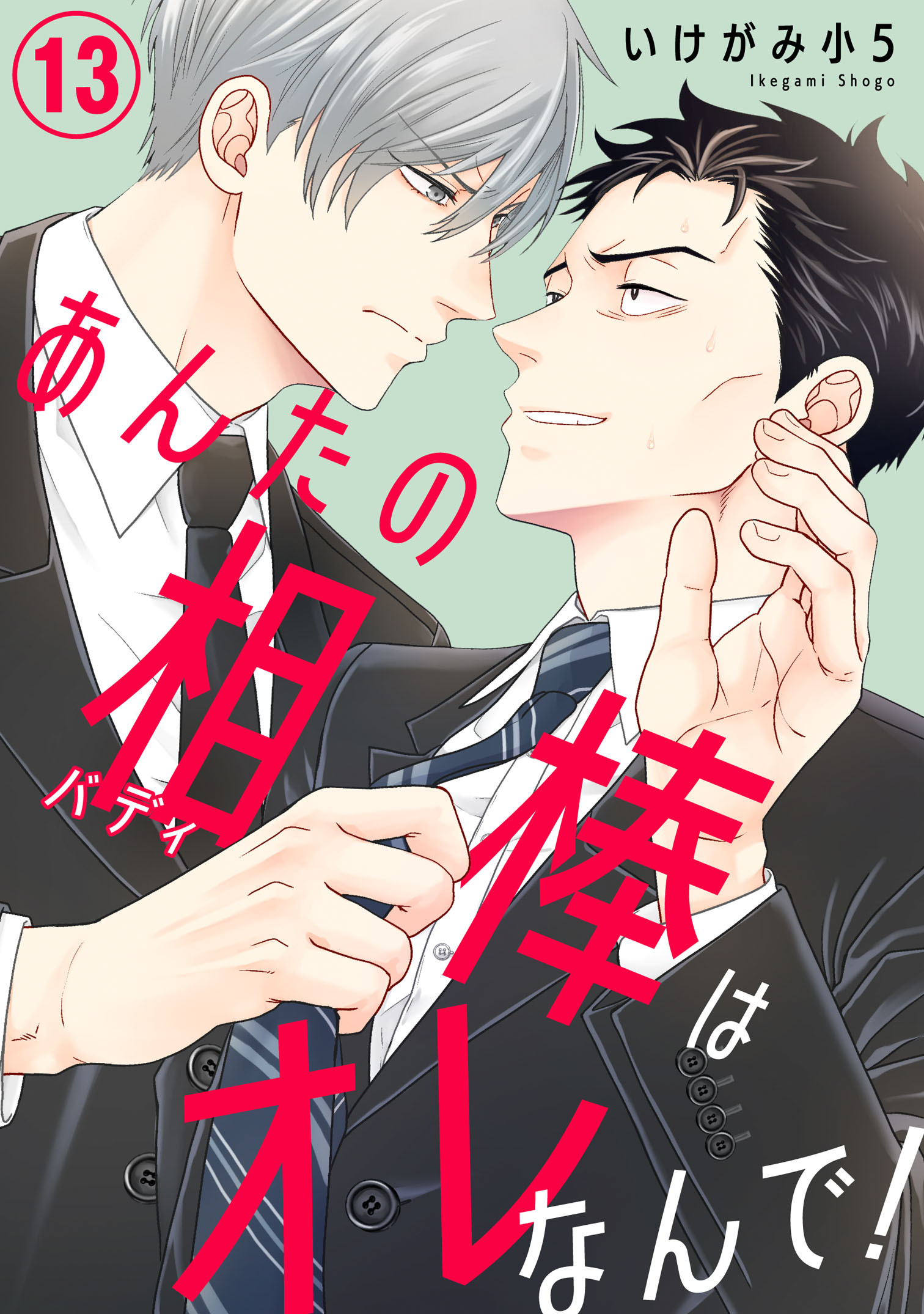 あんたの相棒はオレなんで！13