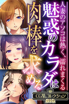 魅惑のカラダは肉棒を求める~人妻のアソコは熱く、濡れまくる~【CG集コレクションBIG】