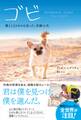 ゴビ 僕と125キロを走った、奇跡の犬
