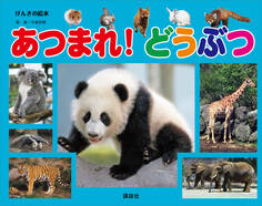 げんきの絵本 あつまれ! どうぶつ