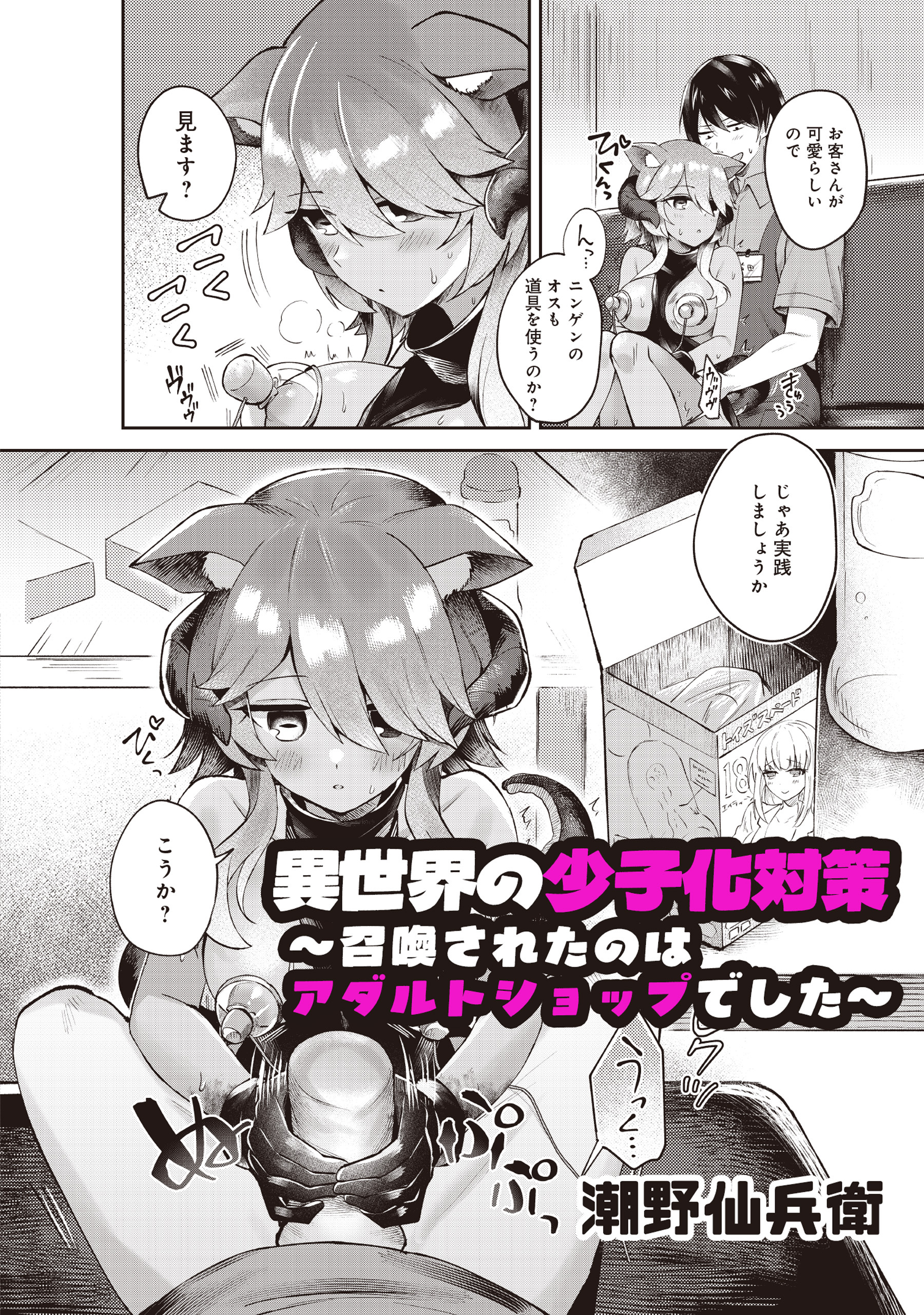 異世界の少子化対策　～召喚されたのはアダルトショップでした～