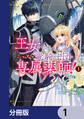 王女でしたがこっそり竜騎士団の専属薬師になりました!【分冊版】 1