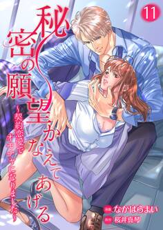 秘密の願望かなえてあげる~契約恋愛でオモチャになりました~11