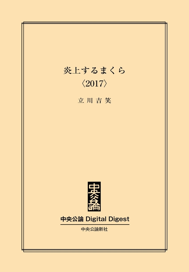 中公DD　炎上するまくら〈2017〉