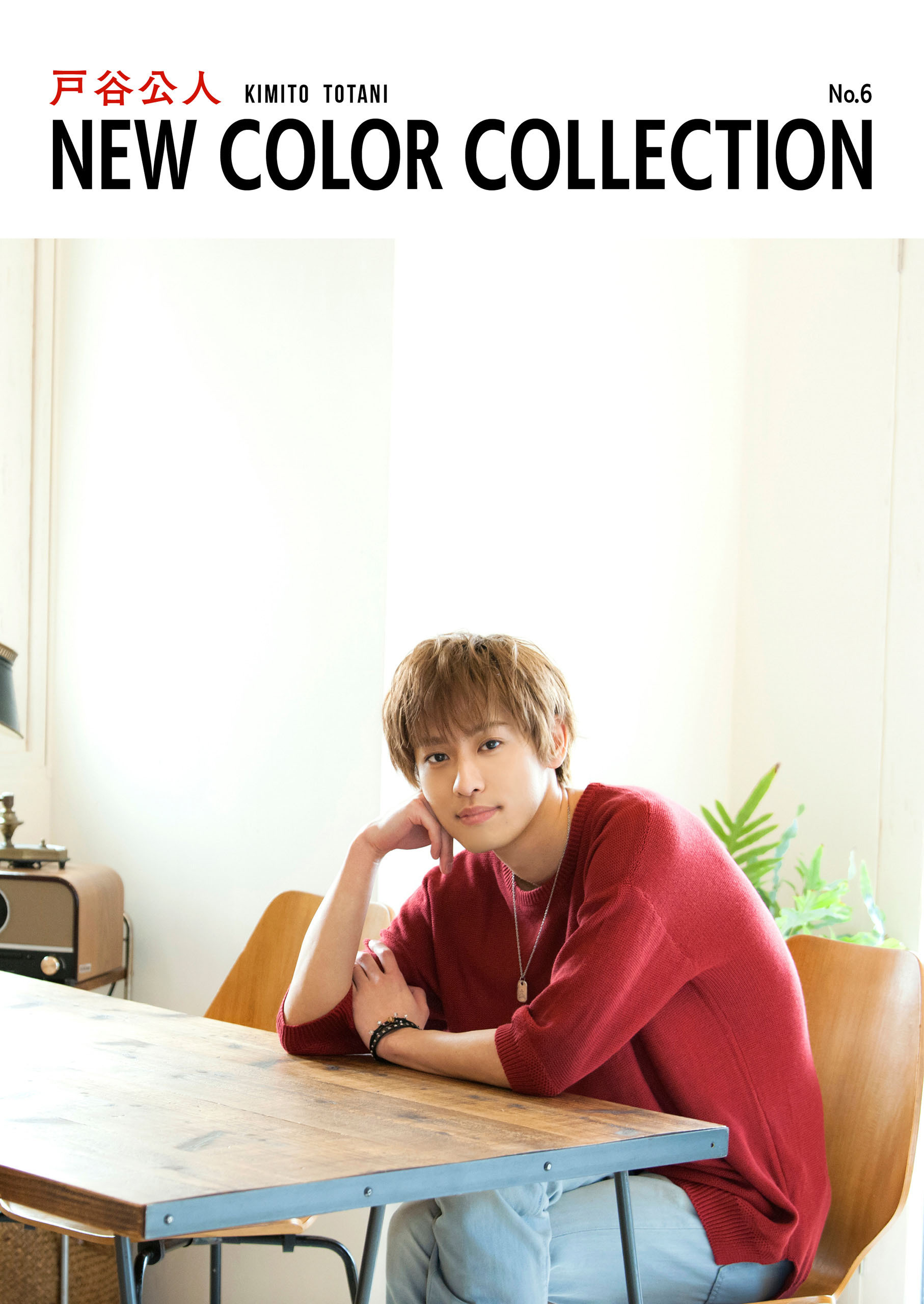 戸谷公人 NEW COLOR COLLECTION No.6