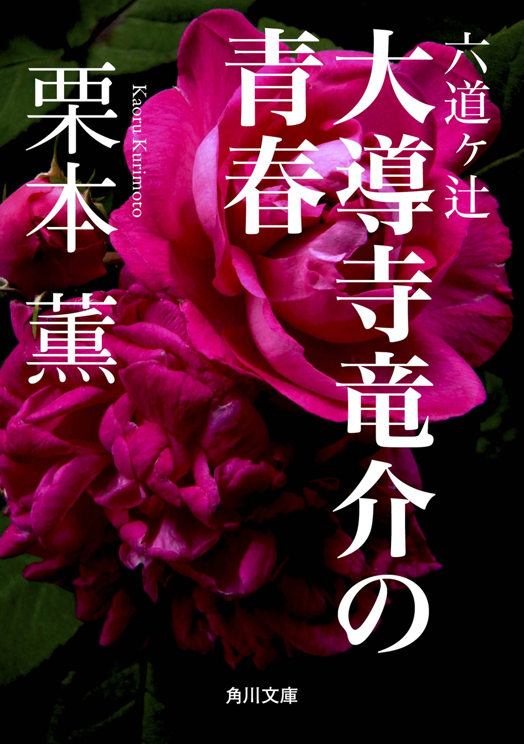 六道ヶ辻　大導寺竜介の青春