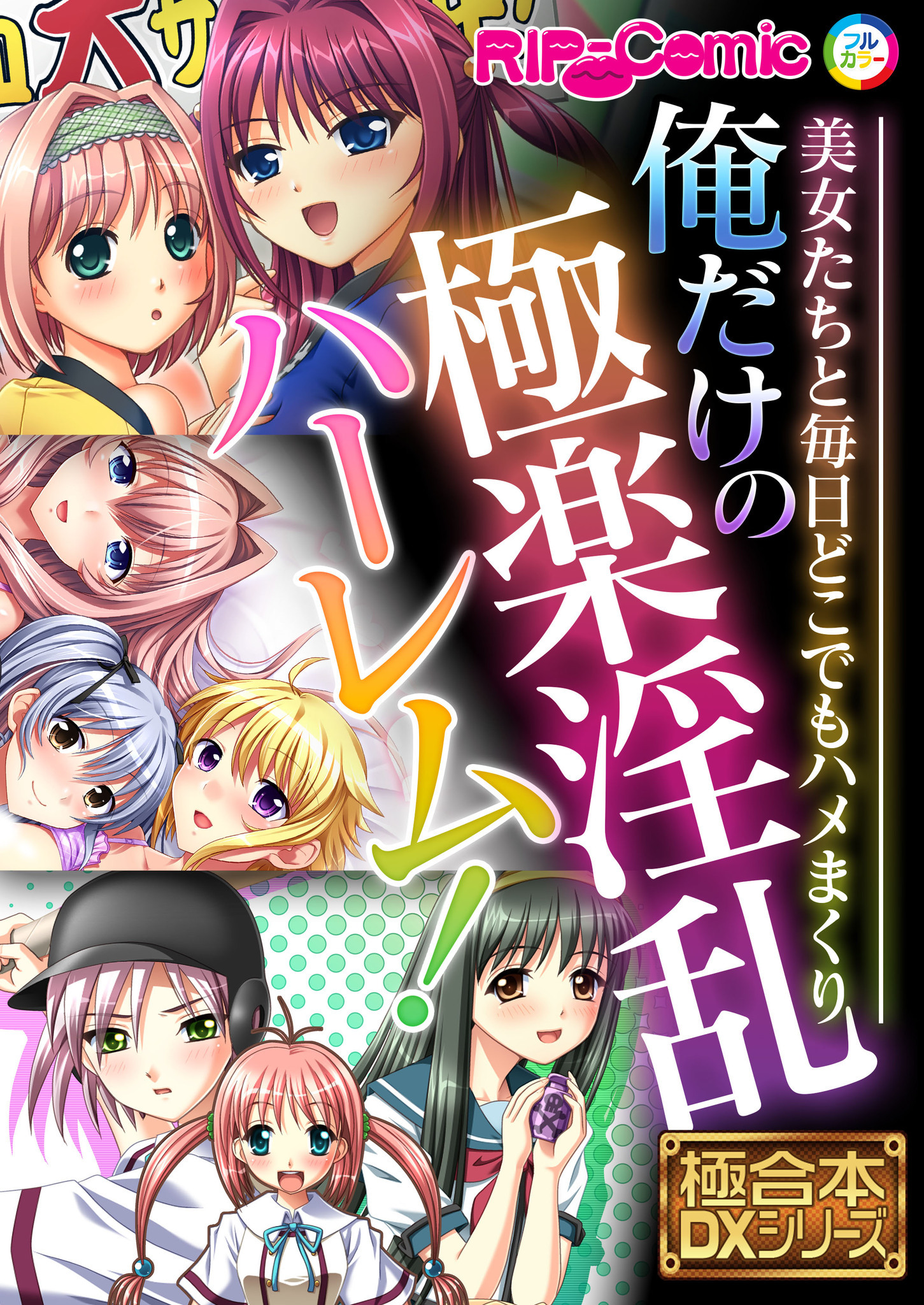 俺だけの極楽淫乱ハーレム！ ～美女たちと毎日どこでもハメまくり～【極合本DXシリーズ】