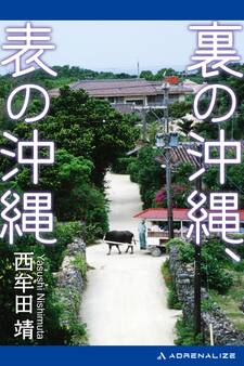 裏の沖縄、表の沖縄